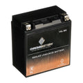 YTX16L-BS Chrome Battery Volt,14 Battery CCA) Ah, Ski Jet Sx 1987 (16L-BS 12 230 Js650 Kawasaki for