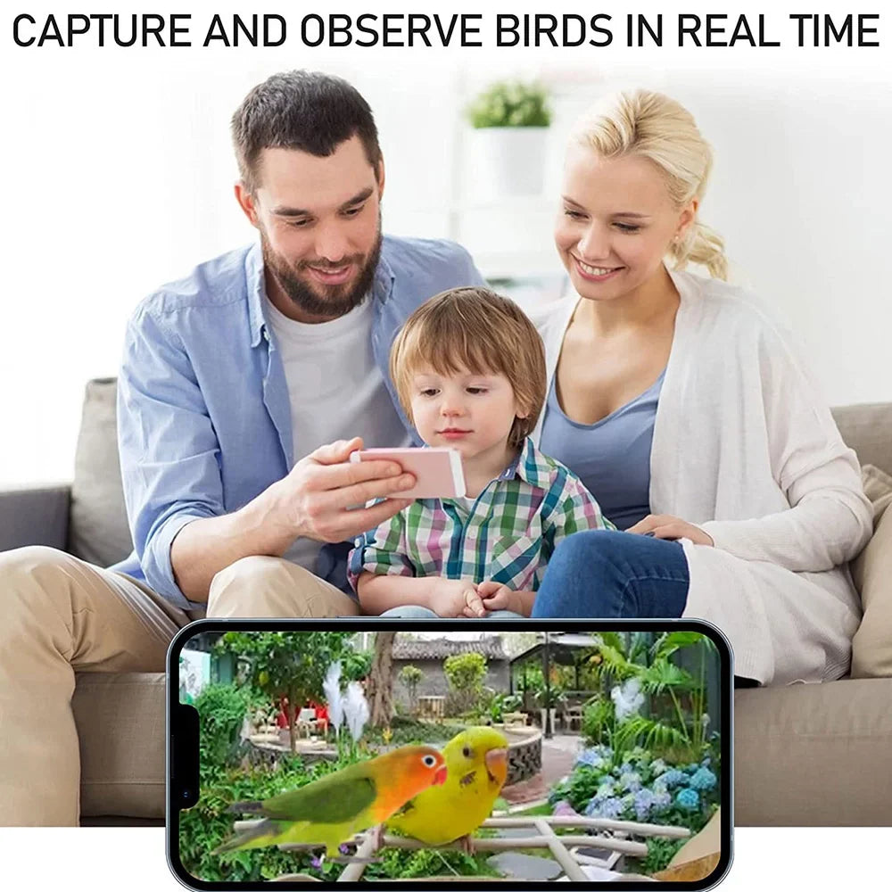 and Bird WIFI Bird Real-time Waterproof Smart Capture Auto Carevas Motion Bird Notification Detection Video Feeder TF 1080P Camera AI Species Identify IP65 Cards 128G