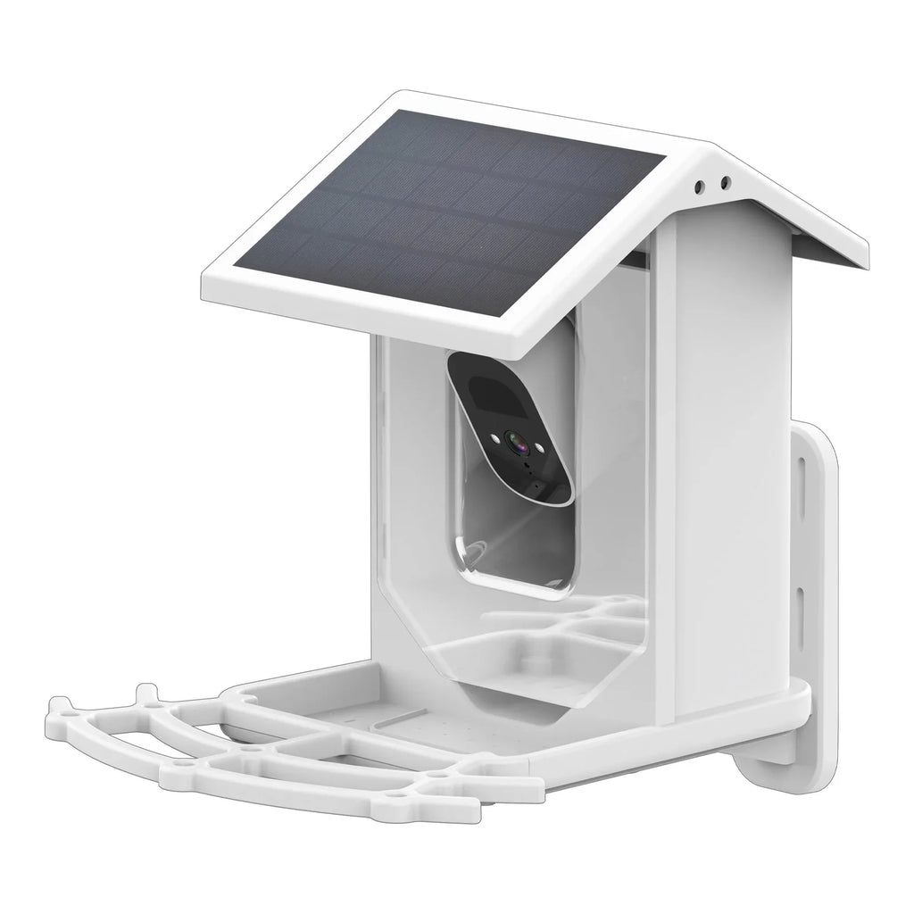 Camera and Birds Aibecy Waterproof Vision Camera Wildlife Bird IP66 1080P Low Solar Night for