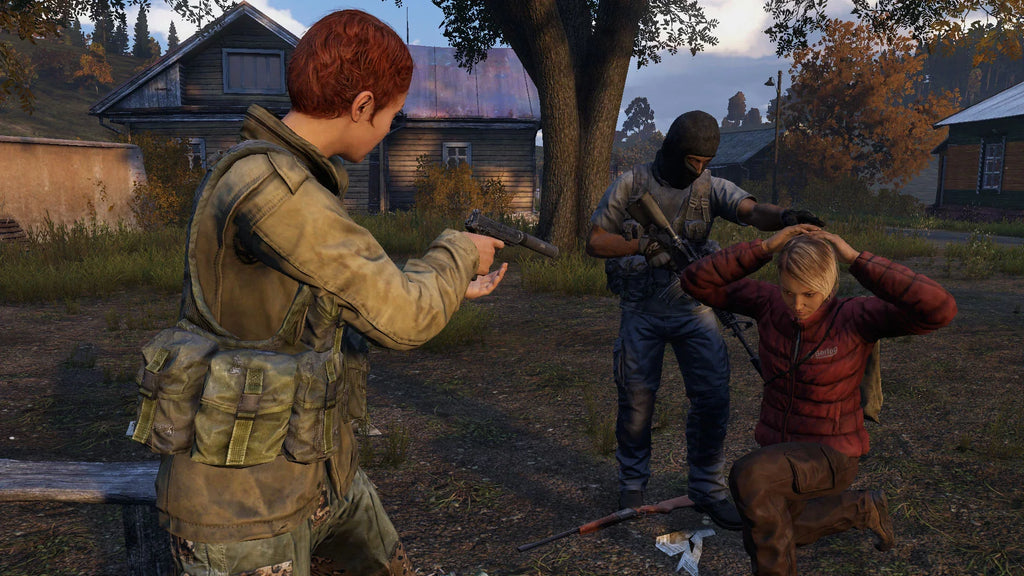 PlayStation - Dayz 4