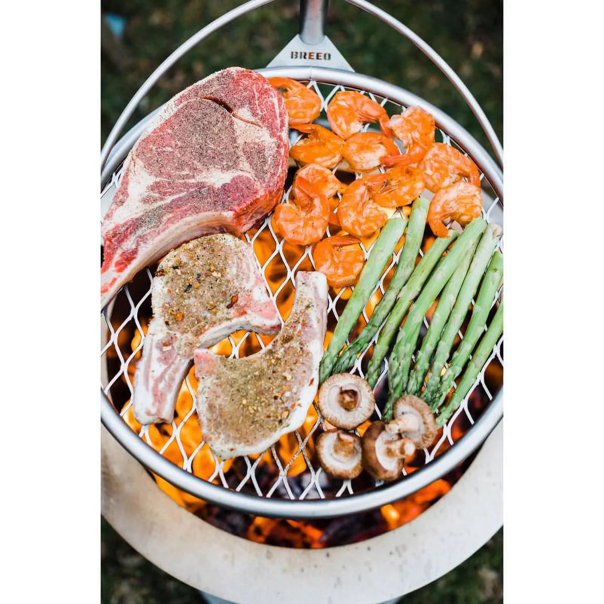 34 27 Outpost X pk 24 in. Camp Grill W H Breeo Silver 1 in.
