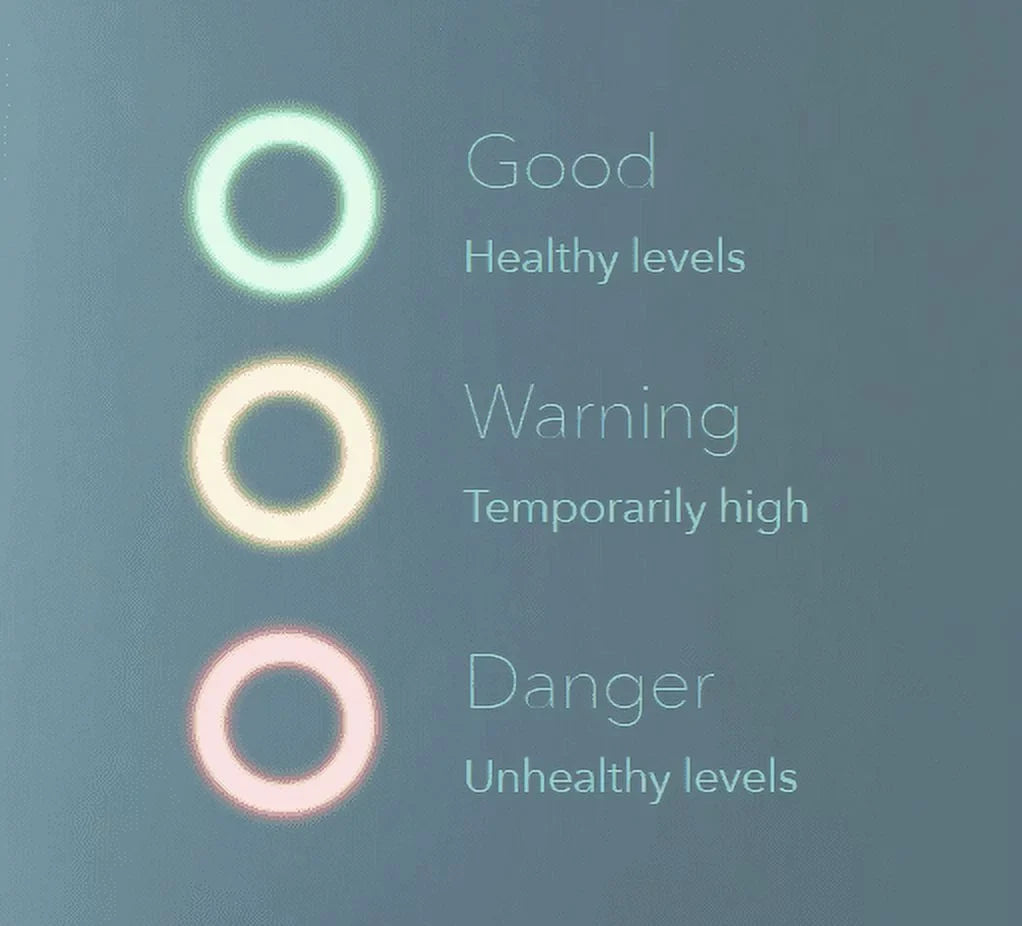 Airthings Radon Detector Wave Smart