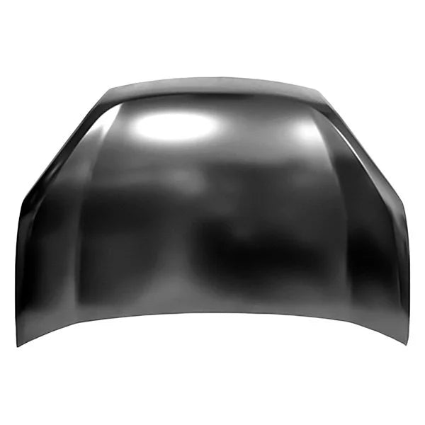 2015-2022 for ProMaster Panel Ram City Hood