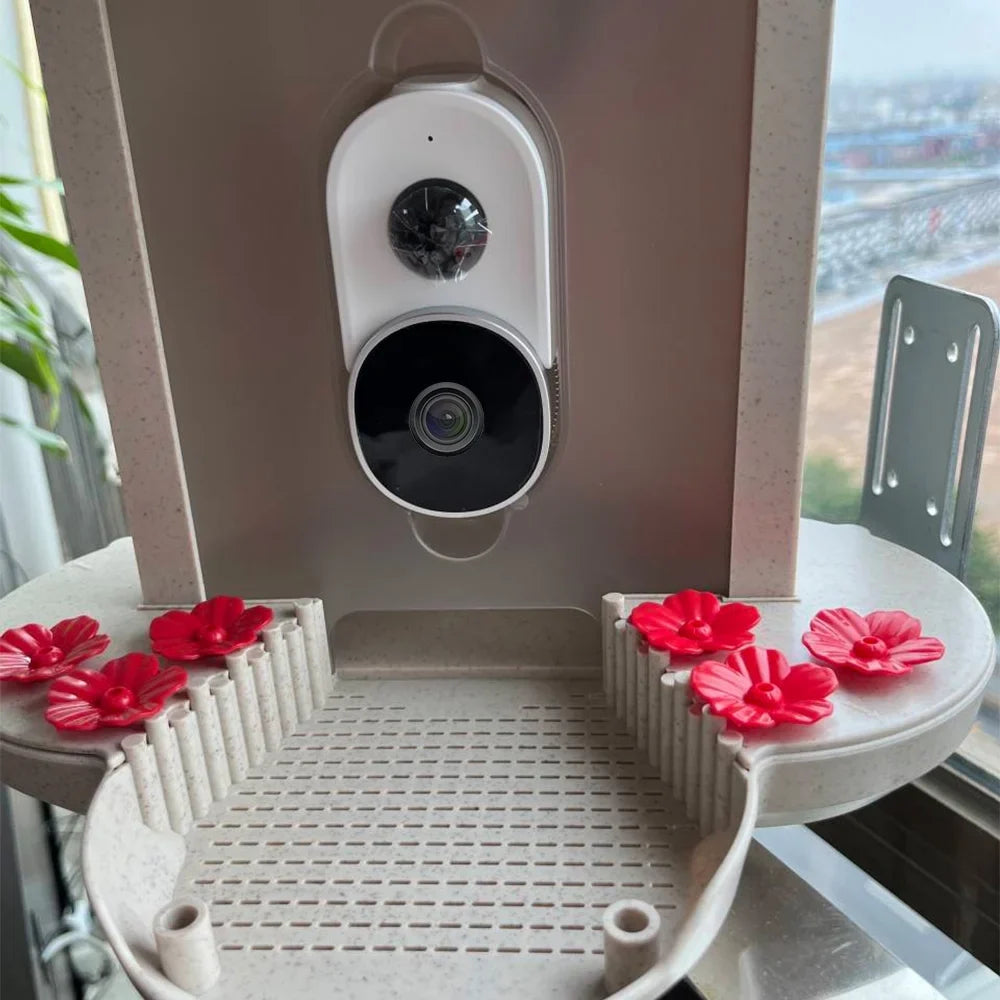 and Bird WIFI Bird Real-time Waterproof Smart Capture Auto Carevas Motion Bird Notification Detection Video Feeder TF 1080P Camera AI Species Identify IP65 Cards 128G