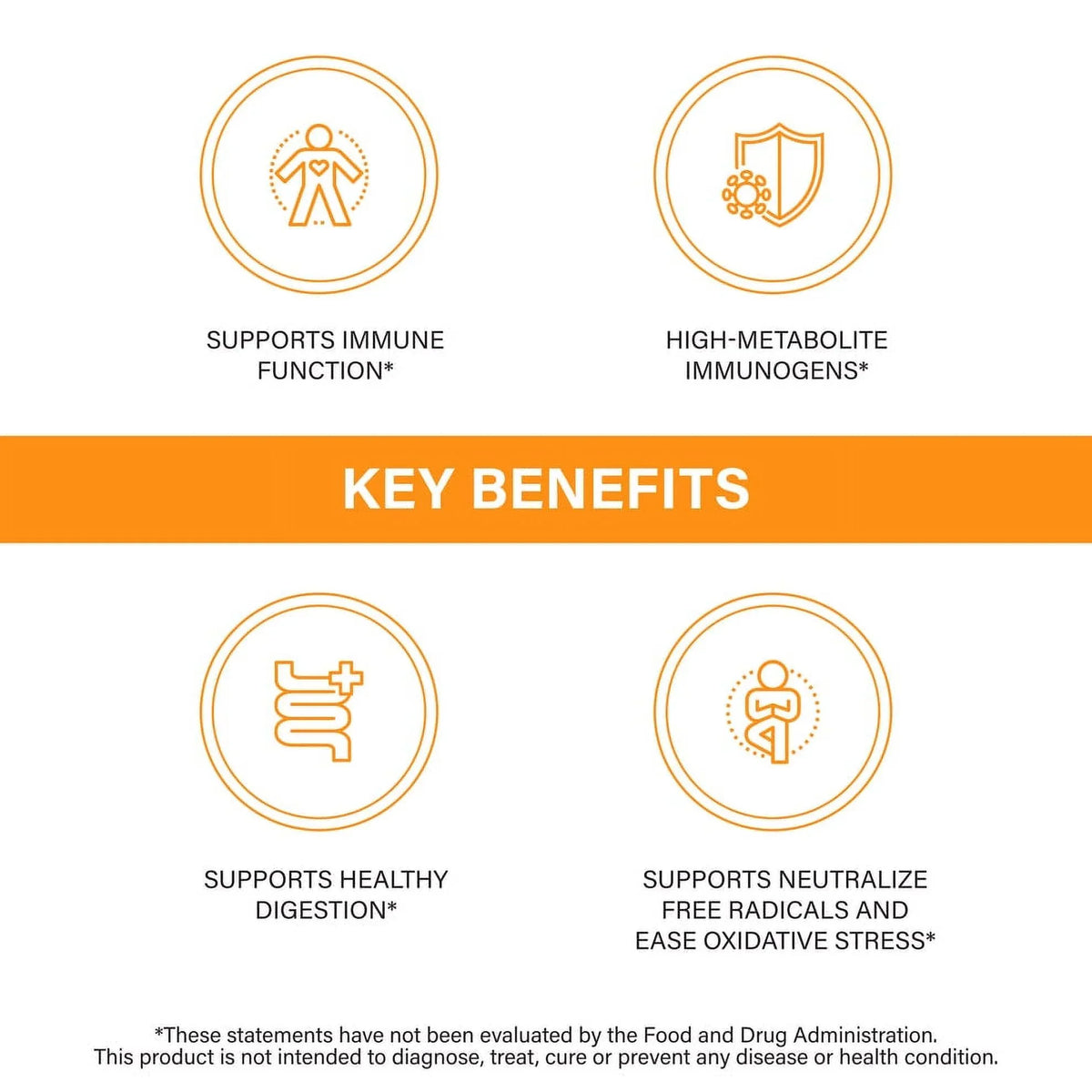 500mg Immune (Fermentate) Sandhu’s Support, EpiCor® Zinc Quercetin, - 200mg 30 Year-Round with Servs