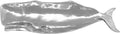 Aluminum Nantucket Large Whale QIXIAN Dish,