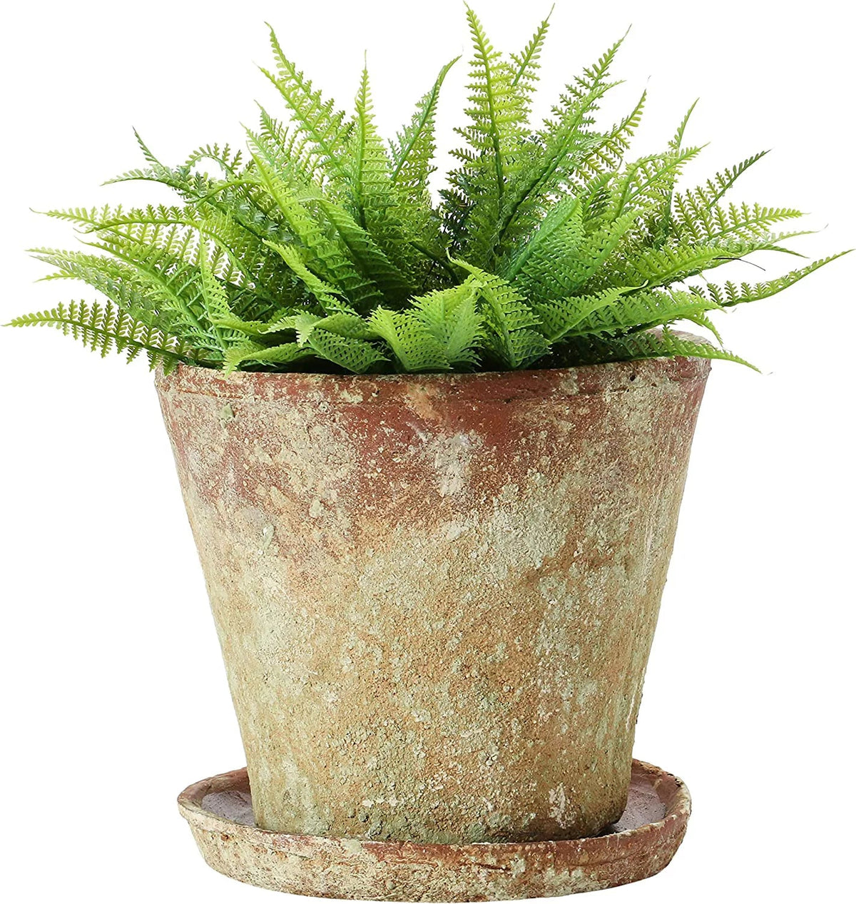 Pot) Creative Finish, Co-Op 8" 2 Cement of Distressed (Holds Saucer, Planter with Set Terra-cotta