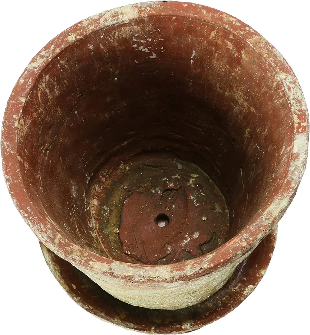 Pot) Creative Finish, Co-Op 8" 2 Cement of Distressed (Holds Saucer, Planter with Set Terra-cotta