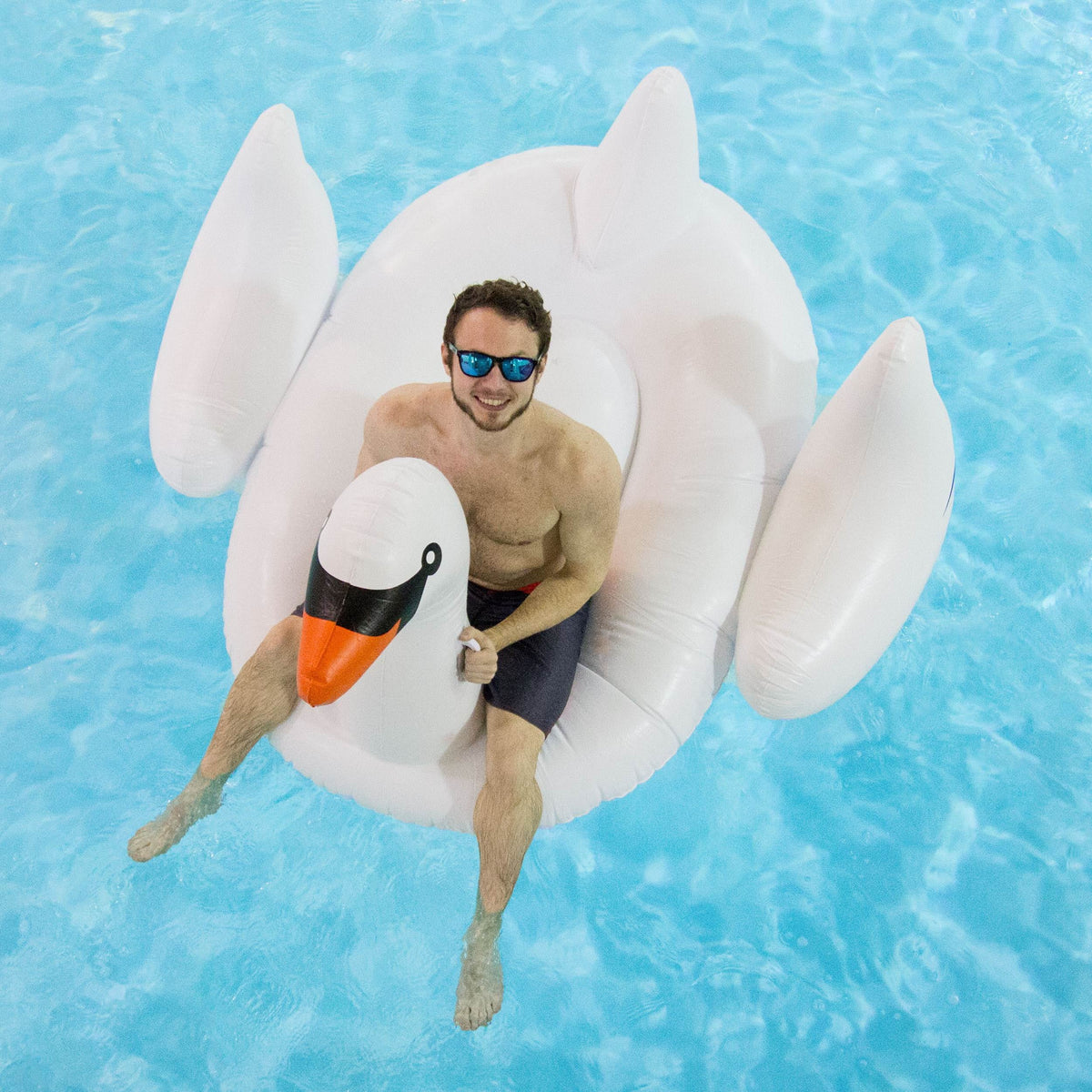 Inflatable 90621 Ride-On 4-Pack Giant | x 75-Inch Swan 4 Swimline Floats