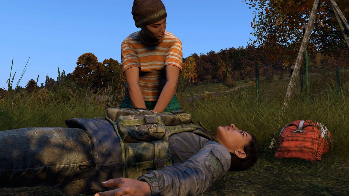 PlayStation - Dayz 4