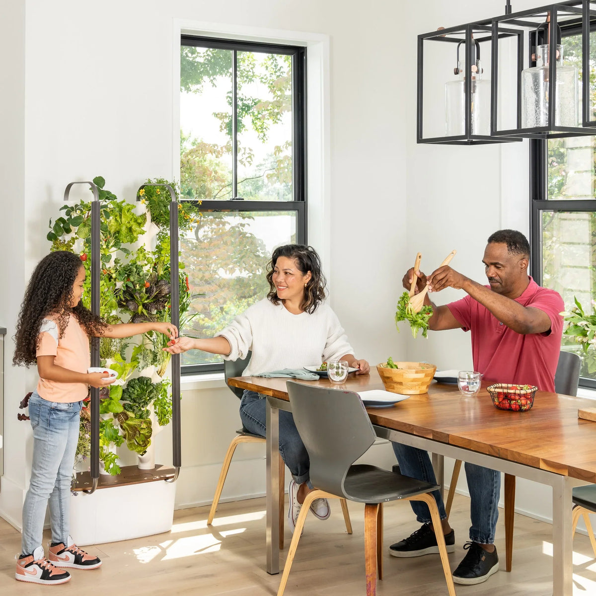 Garden| System Planter Vertical & Non-GMO & 3.0 Plants, Smart Your Indoor Home Indoor Lights Includes 30 Vegetables Herbs Gardening & Garden Grow Hydroponics LED Indoor Gardyn for | Growing System