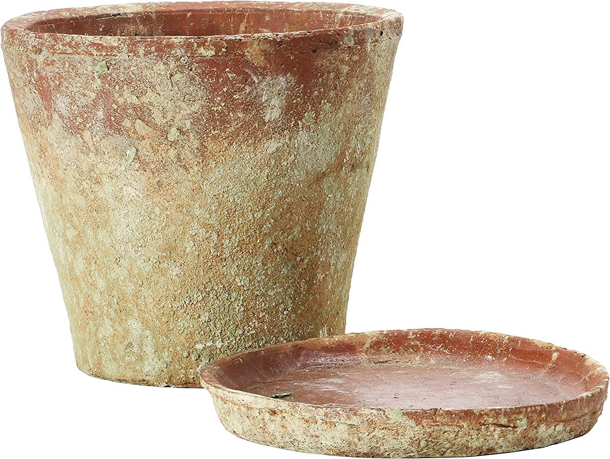 Pot) Creative Finish, Co-Op 8" 2 Cement of Distressed (Holds Saucer, Planter with Set Terra-cotta