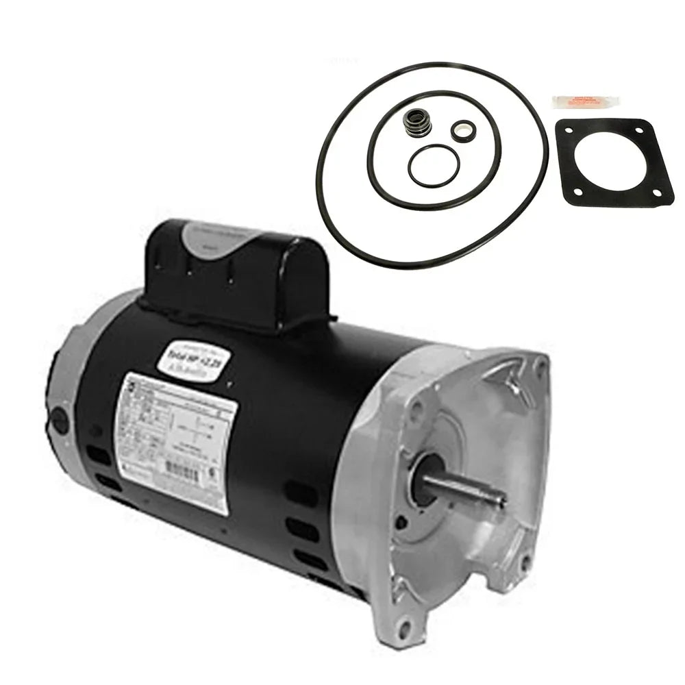 Century with Sta-Rite 1.5HP Motor AO SQ1152 Max-E-Glas Smith Replacement Tech Puri PE5F-126L GO-KIT-6 Motor Kit