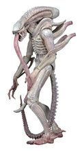 Aliens Concept Albino Action 7" Scale Alien Figure: