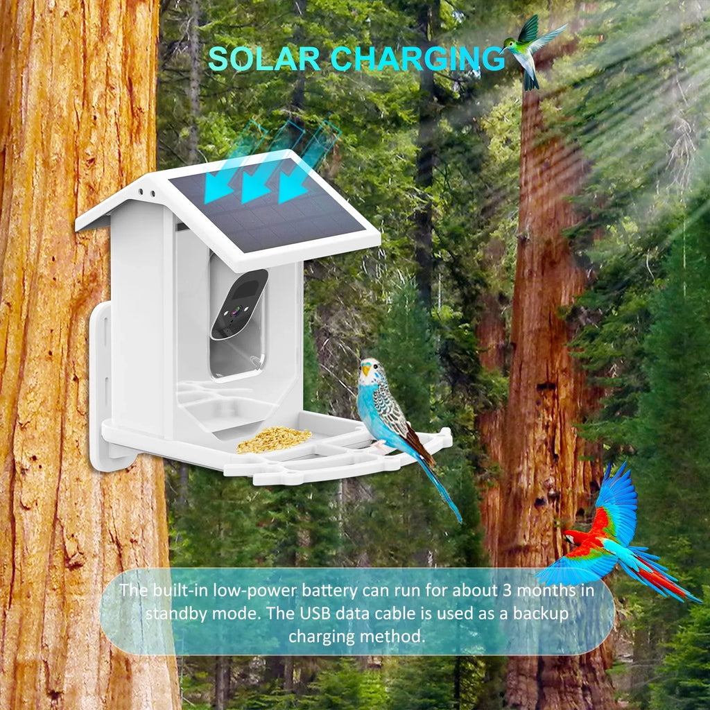 Camera and Birds Aibecy Waterproof Vision Camera Wildlife Bird IP66 1080P Low Solar Night for