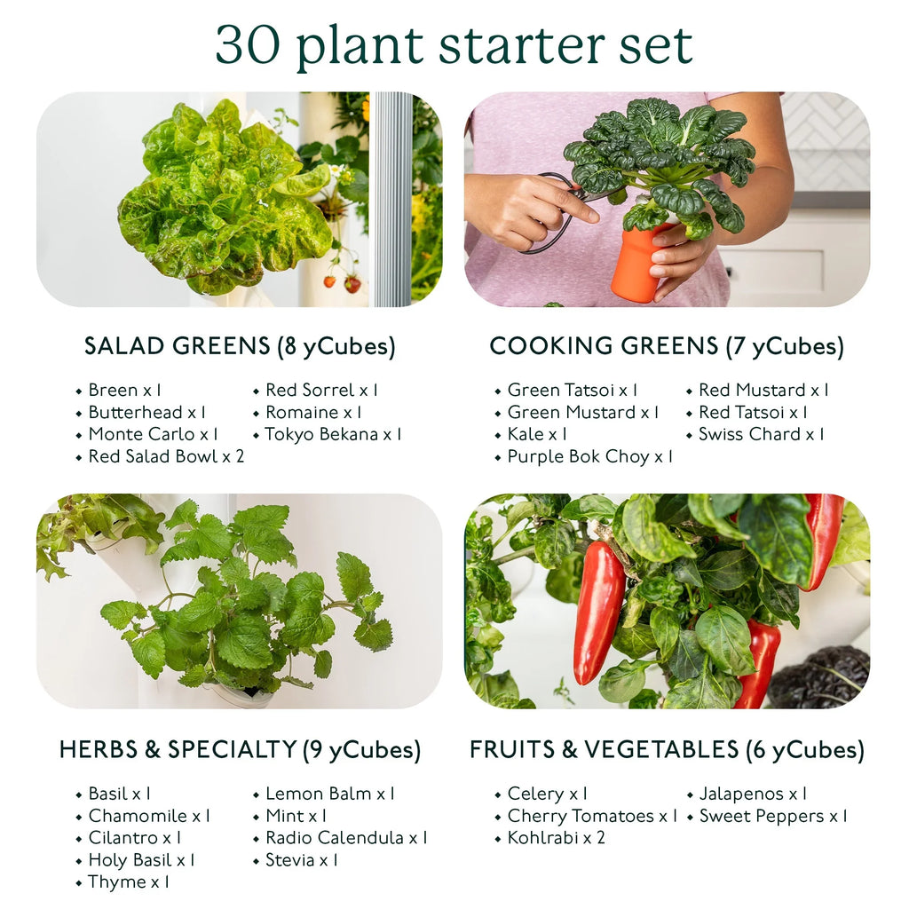 Garden| System Planter Vertical & Non-GMO & 3.0 Plants, Smart Your Indoor Home Indoor Lights Includes 30 Vegetables Herbs Gardening & Garden Grow Hydroponics LED Indoor Gardyn for | Growing System