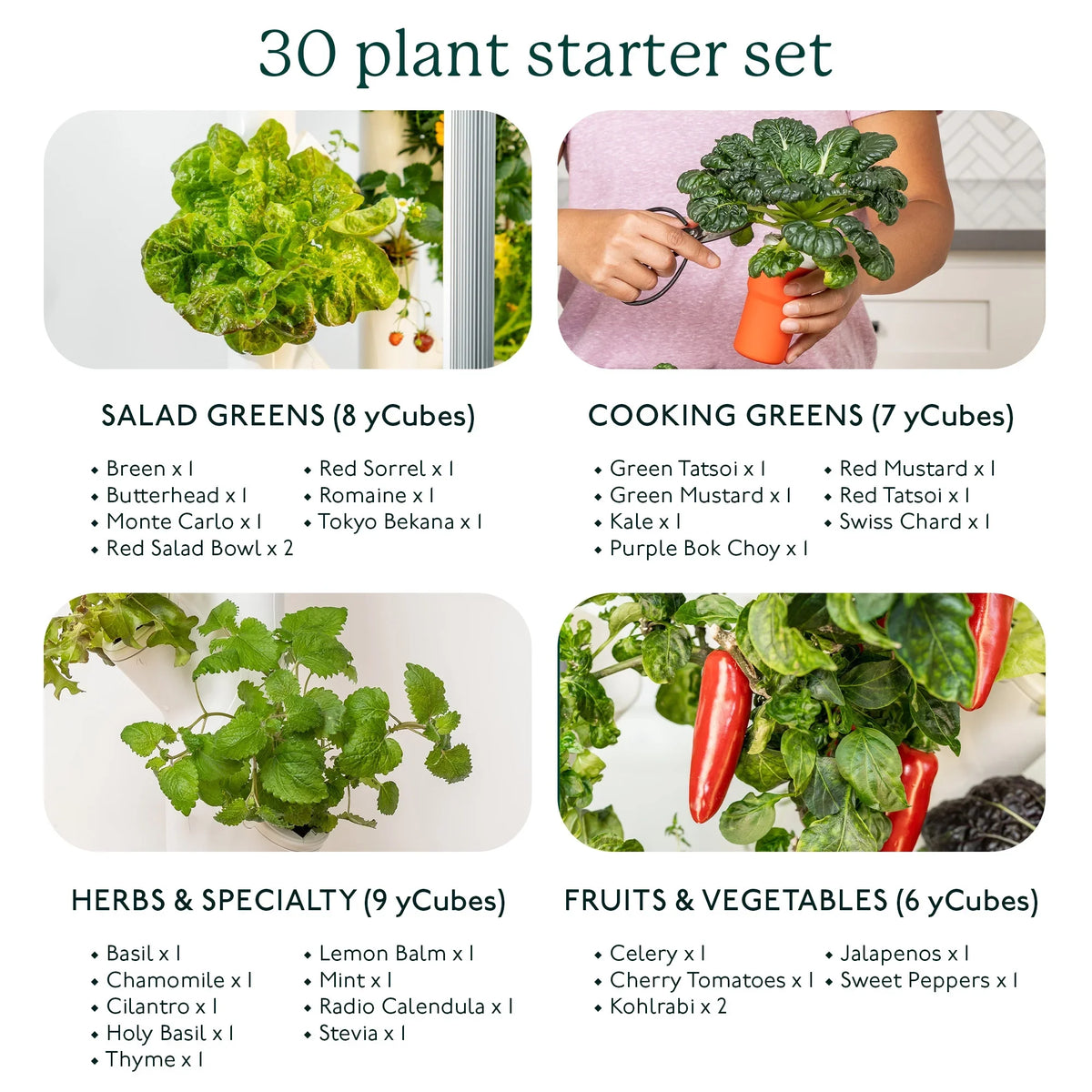 Garden| System Planter Vertical & Non-GMO & 3.0 Plants, Smart Your Indoor Home Indoor Lights Includes 30 Vegetables Herbs Gardening & Garden Grow Hydroponics LED Indoor Gardyn for | Growing System