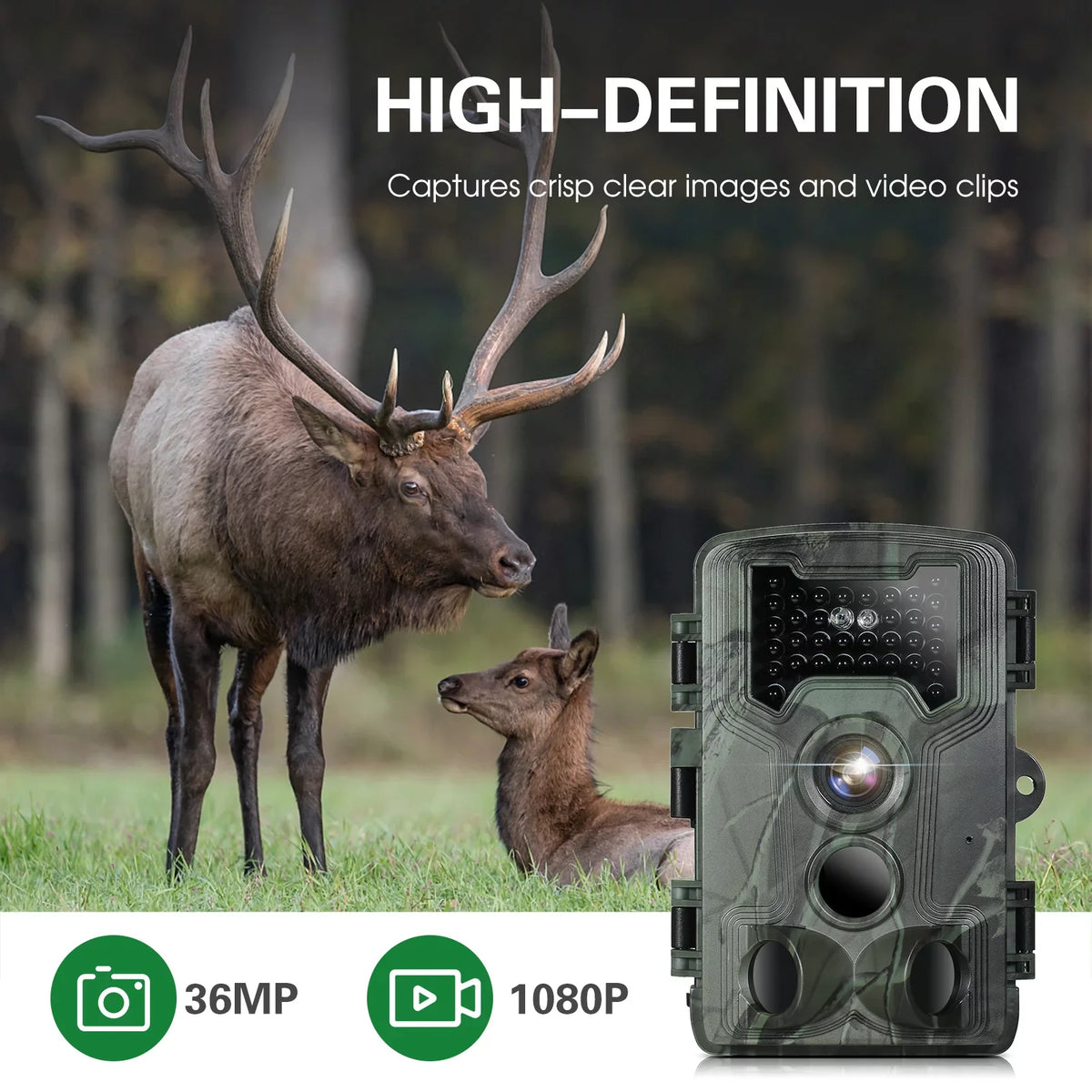 Camera, Game Researching Camera Waterproof Night Vision 36MP and Trail for Wildlife