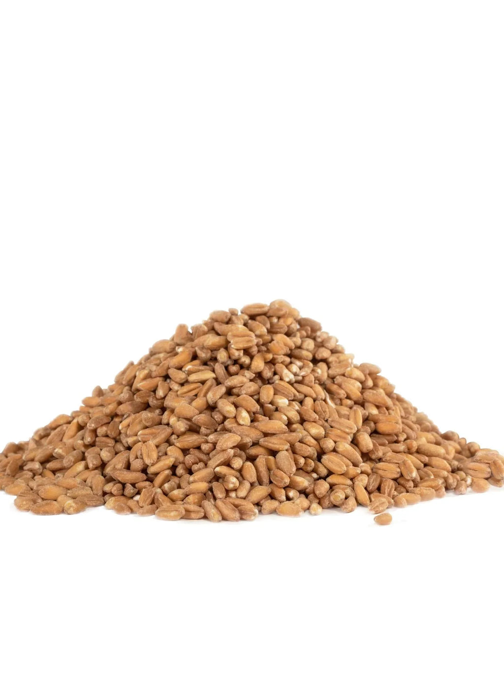 Ounce of Organic Grain, 4) 24 Bob's Red (Pack Farro Mill