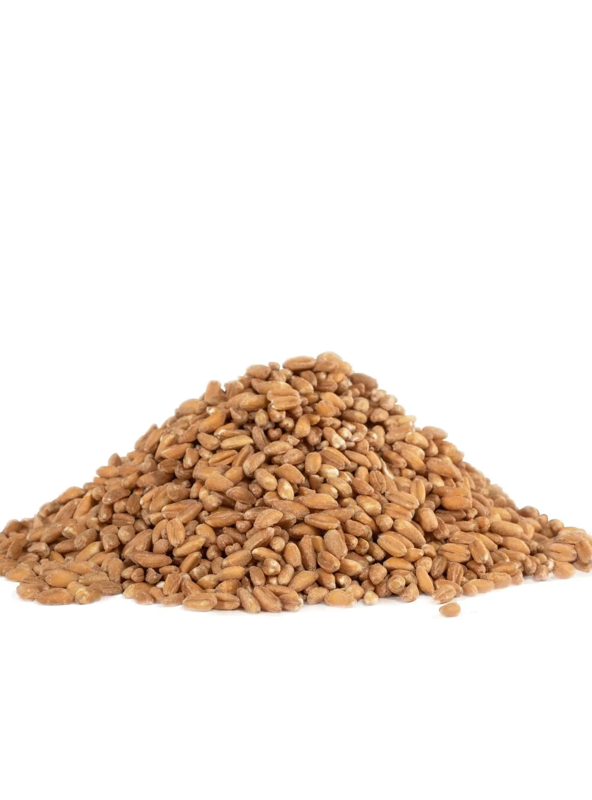 Ounce of Organic Grain, 4) 24 Bob's Red (Pack Farro Mill
