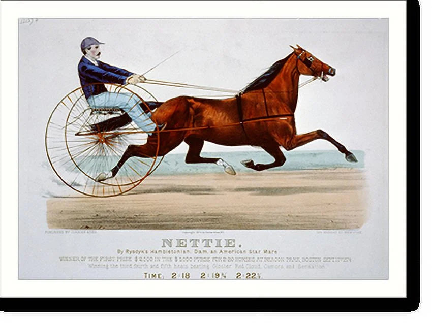 Rysdyk's star Framed American dam, mare, by x Historic and Nettie: Hambletonian, Print, 21-7/8" 17-7/8"
