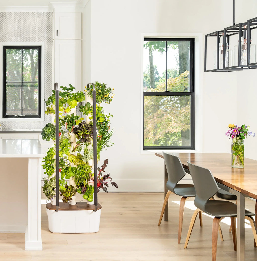 Garden| System Planter Vertical & Non-GMO & 3.0 Plants, Smart Your Indoor Home Indoor Lights Includes 30 Vegetables Herbs Gardening & Garden Grow Hydroponics LED Indoor Gardyn for | Growing System