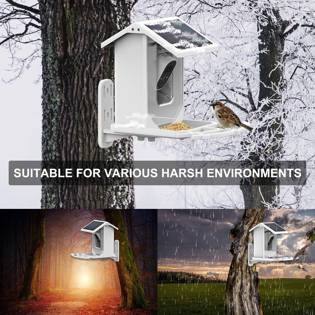 Camera and Birds Aibecy Waterproof Vision Camera Wildlife Bird IP66 1080P Low Solar Night for