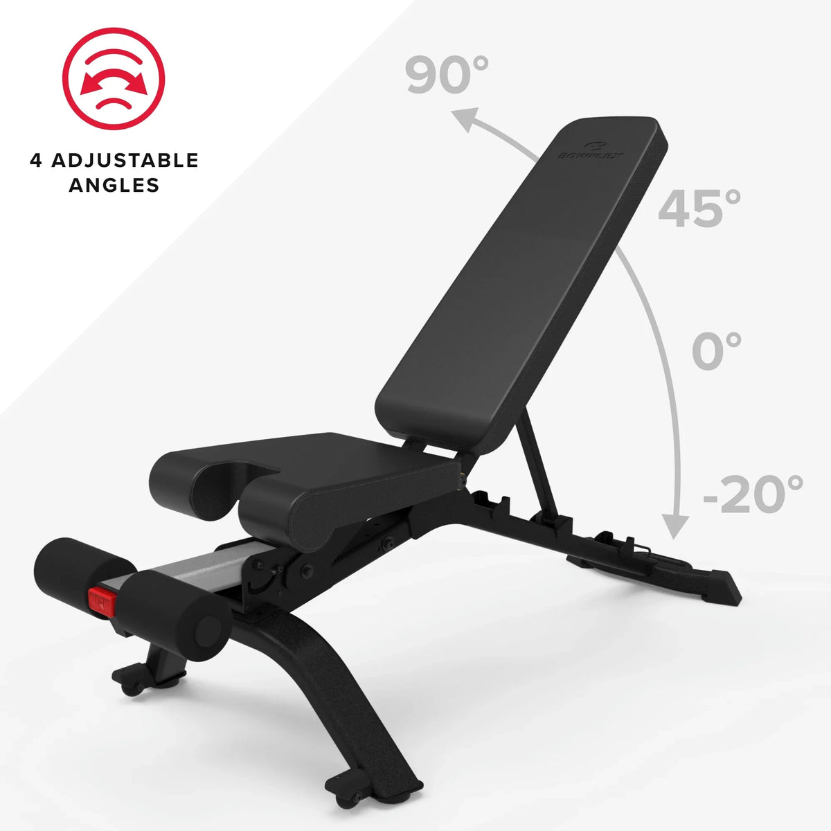 (Litho) Bowflex 3.1s Bench Weight