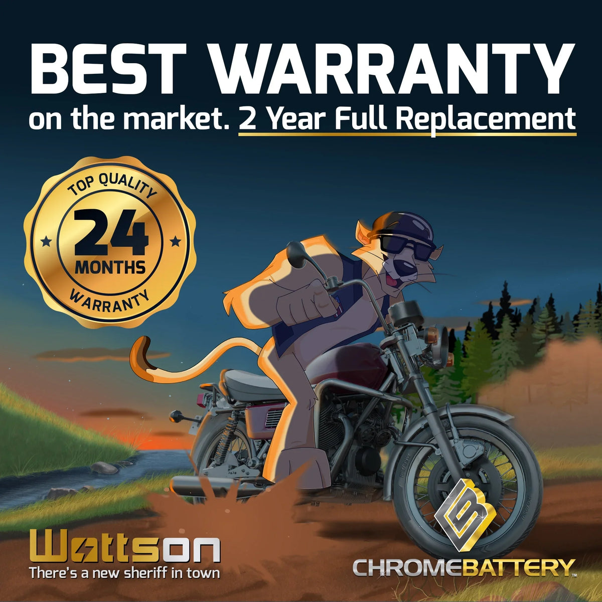 Battery 1991 Volt,14 Ah, (16L-BS Jf650 230 X2 12 650cc Battery CCA) Jet Zipp Ski YTX16L-BS for Kawasaki