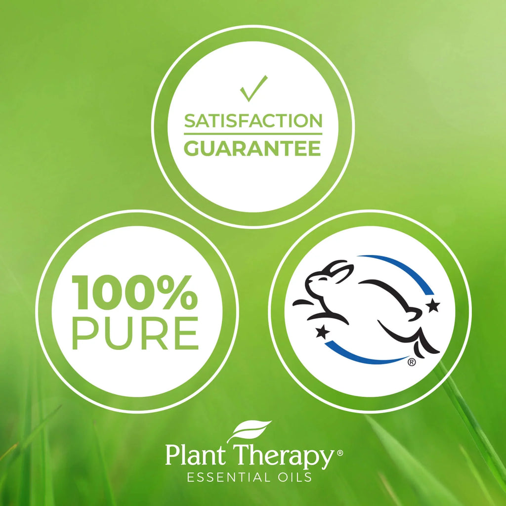 4 Acid Lines & with and Facial Therapy Wrinkles with of Hyaluronic the Ferulic oz Plant C Hyaluronic & Acid, Reduces Vitamin Fine Appearance Serum Vitamin Acid, E,