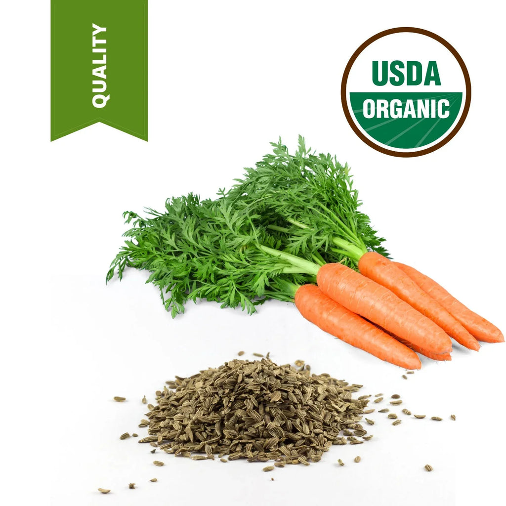 Oil 100% Quality lbs Pure Seed Carrot 4 High Carrier Certified Oil Unrefined