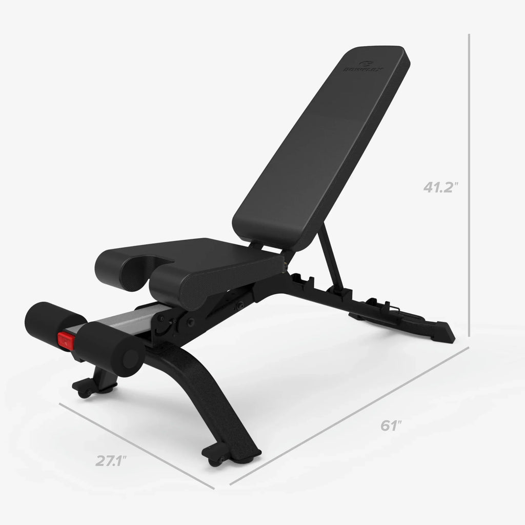 (Litho) Bowflex 3.1s Bench Weight