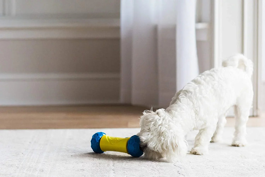 Dog Robo Rolling Treat Bone JW Toy Auto