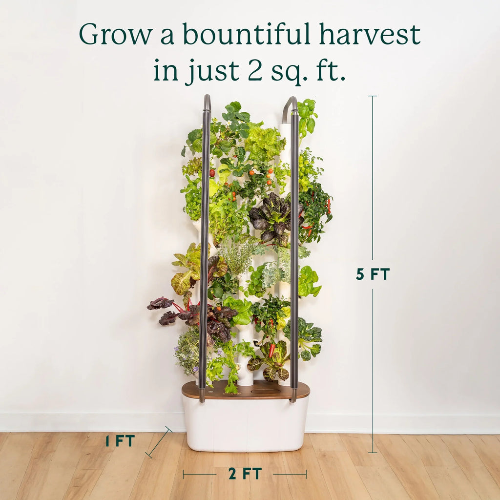 Garden| System Planter Vertical & Non-GMO & 3.0 Plants, Smart Your Indoor Home Indoor Lights Includes 30 Vegetables Herbs Gardening & Garden Grow Hydroponics LED Indoor Gardyn for | Growing System