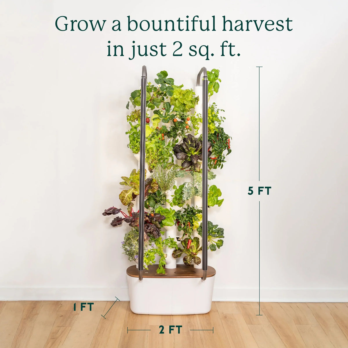 Garden| System Planter Vertical & Non-GMO & 3.0 Plants, Smart Your Indoor Home Indoor Lights Includes 30 Vegetables Herbs Gardening & Garden Grow Hydroponics LED Indoor Gardyn for | Growing System