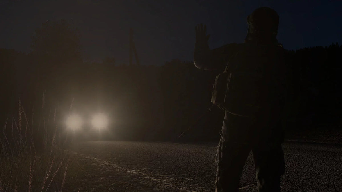 PlayStation - Dayz 4