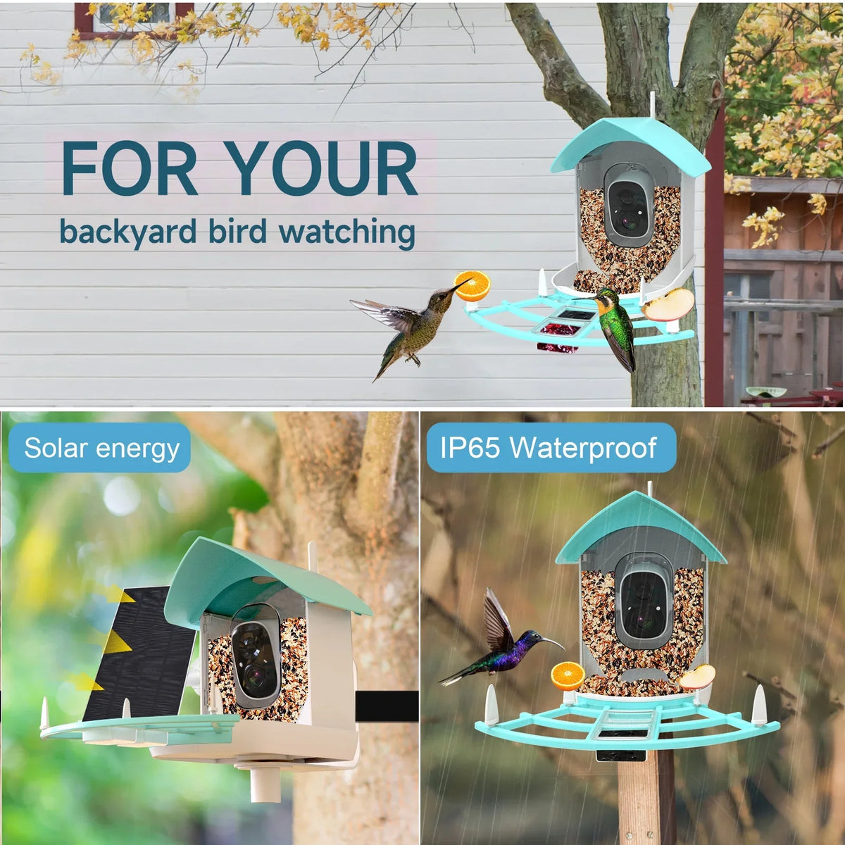 Solar Species With Squirrel Pir CameraVideo Powered Camera Ai Wifi Smart With Wireless Andoer Vico Camera 1080p Feeder Camera camera,Feeder Deterrent Ai Feeder Surveillance Camera AppAi