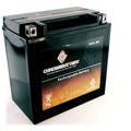 Pwc Kawasaki Chrome Yb16cl-bs Ts, Ski) Js300 Sx Battery Year Battery (86-91) for (jet