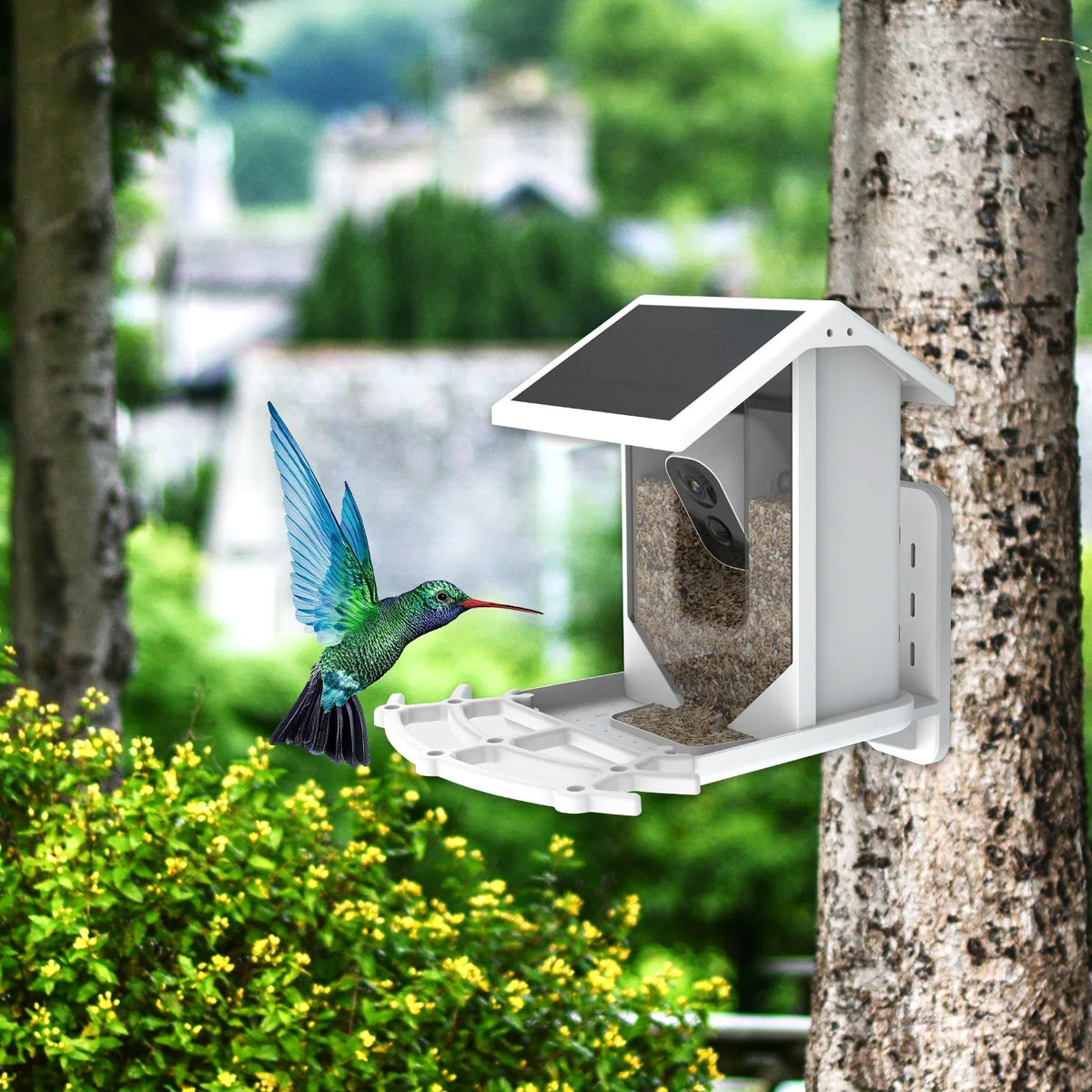 Camera and Birds Aibecy Waterproof Vision Camera Wildlife Bird IP66 1080P Low Solar Night for