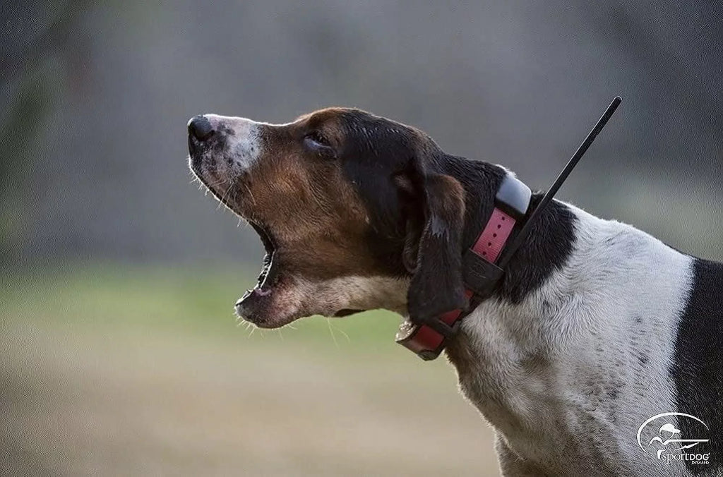 TEK + Brand® GPS E-Collar SportDOG Series 2.0