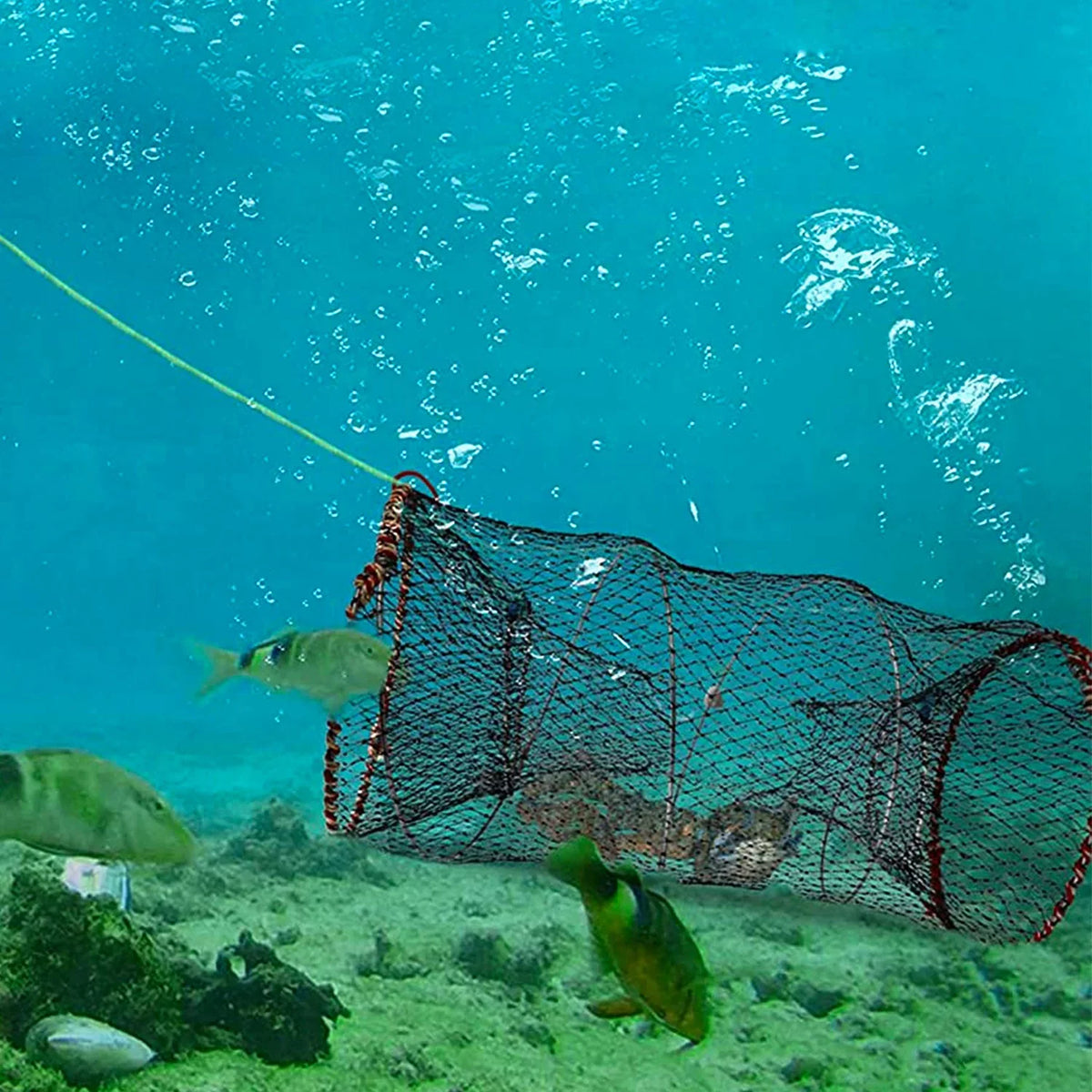 Packs, Trap Prawn Fishing 2 Net iMounTEK Crayfish Pot Crab Lobster, 22x11.8x11.8in Cage Shrimp for Bait