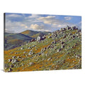 Flowers Poppy California Mountains, - Rocky Tim Grassland, x Art Fitzharris California 30 Print Canyon Ana 40 in Santa in. Hills,