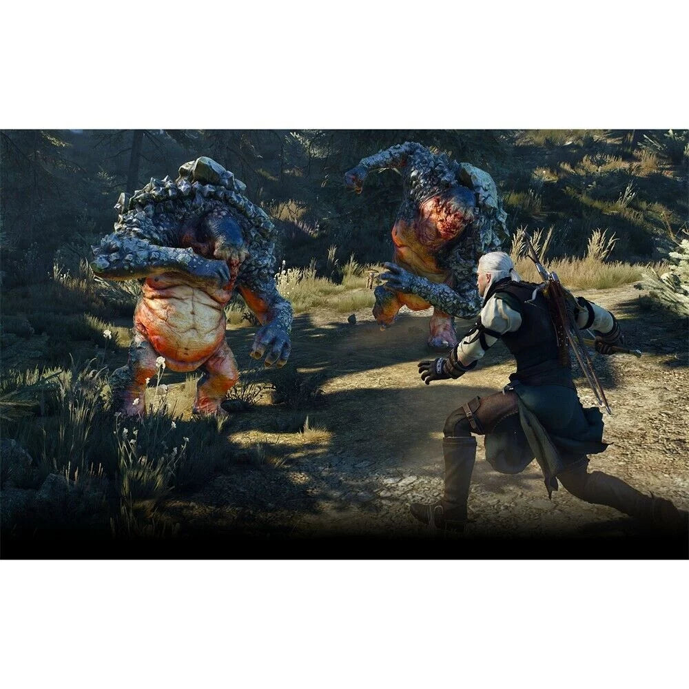 Edition The Witcher Wild Complete - 5 PlayStation 4, Hunt 3: PlayStation