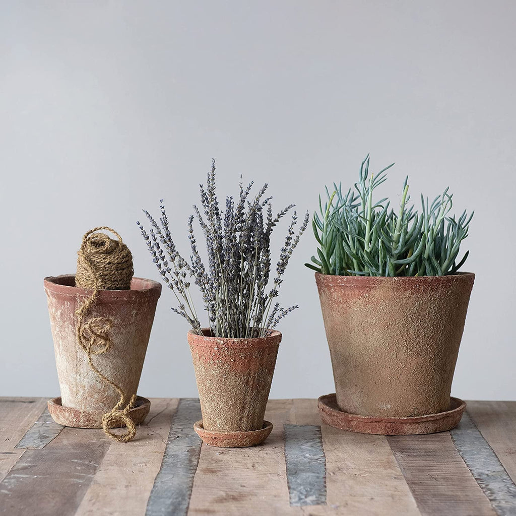 Pot) Creative Finish, Co-Op 8" 2 Cement of Distressed (Holds Saucer, Planter with Set Terra-cotta