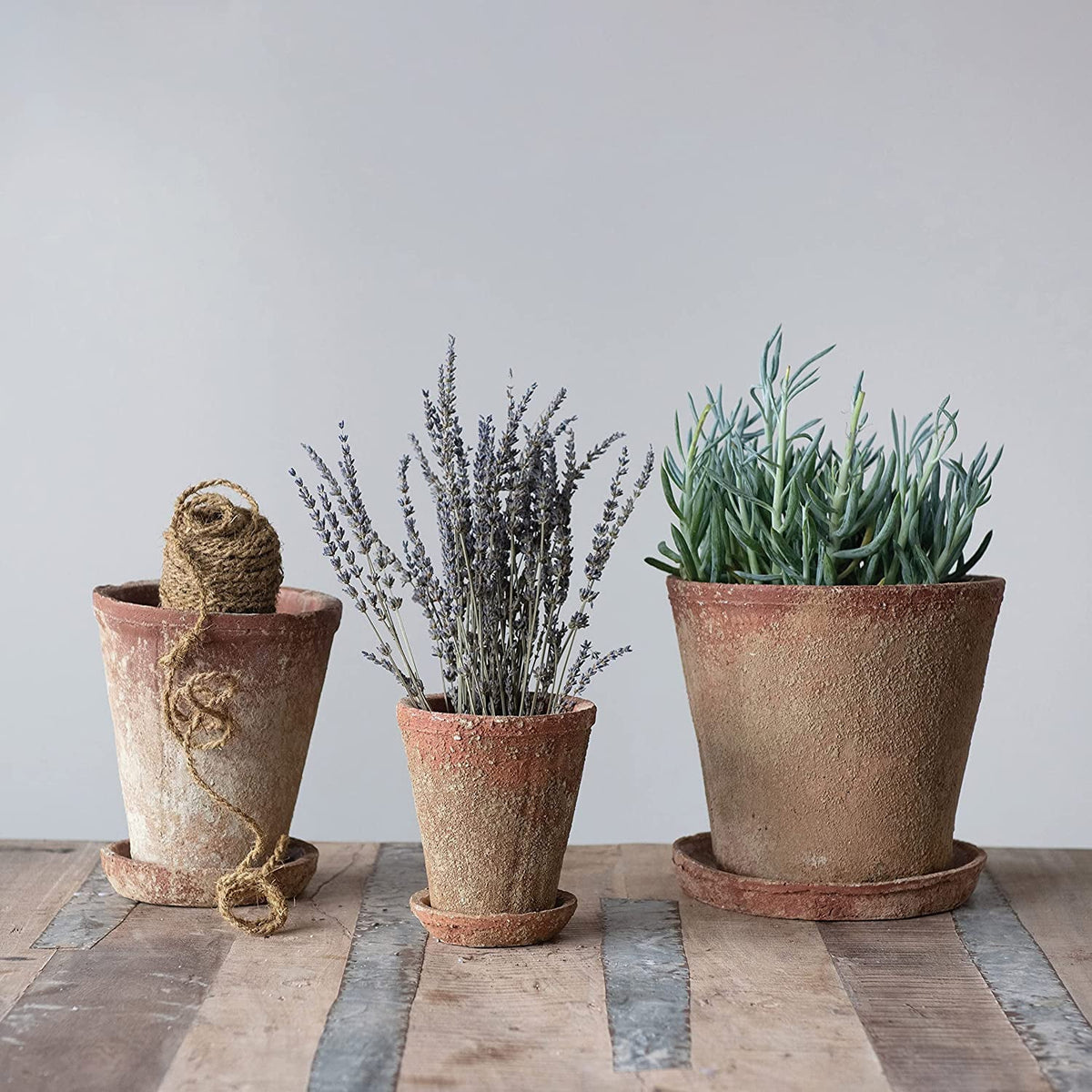 Pot) Creative Finish, Co-Op 8" 2 Cement of Distressed (Holds Saucer, Planter with Set Terra-cotta