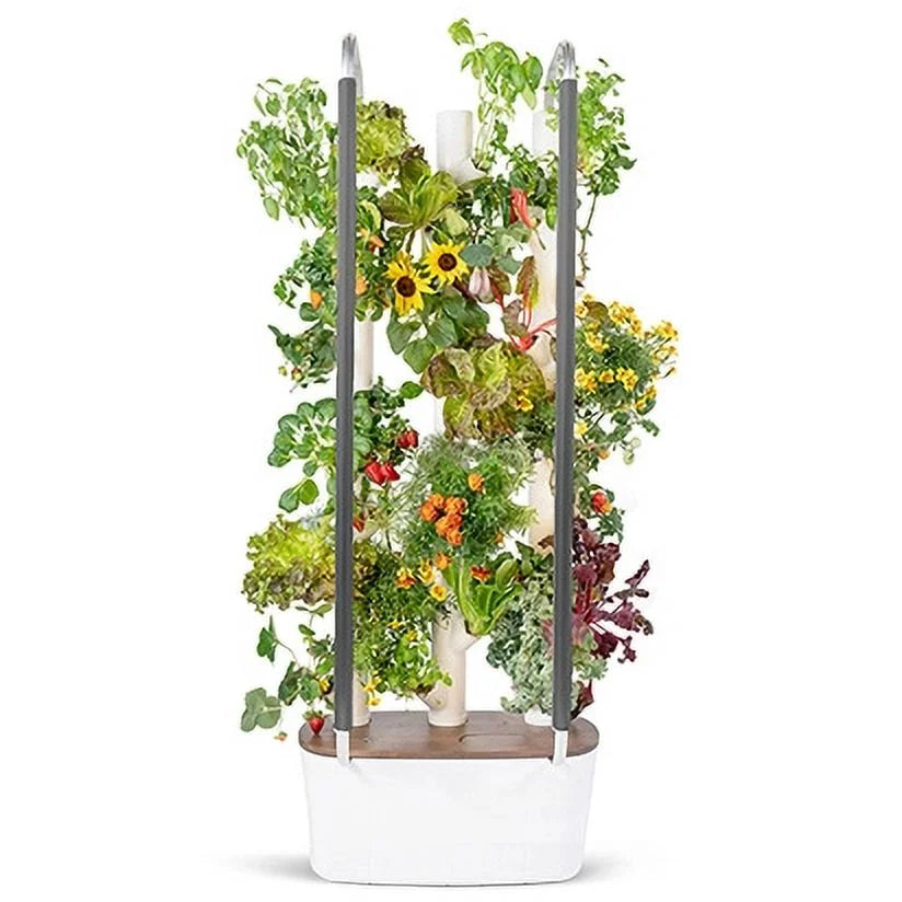 Garden| System Planter Vertical & Non-GMO & 3.0 Plants, Smart Your Indoor Home Indoor Lights Includes 30 Vegetables Herbs Gardening & Garden Grow Hydroponics LED Indoor Gardyn for | Growing System