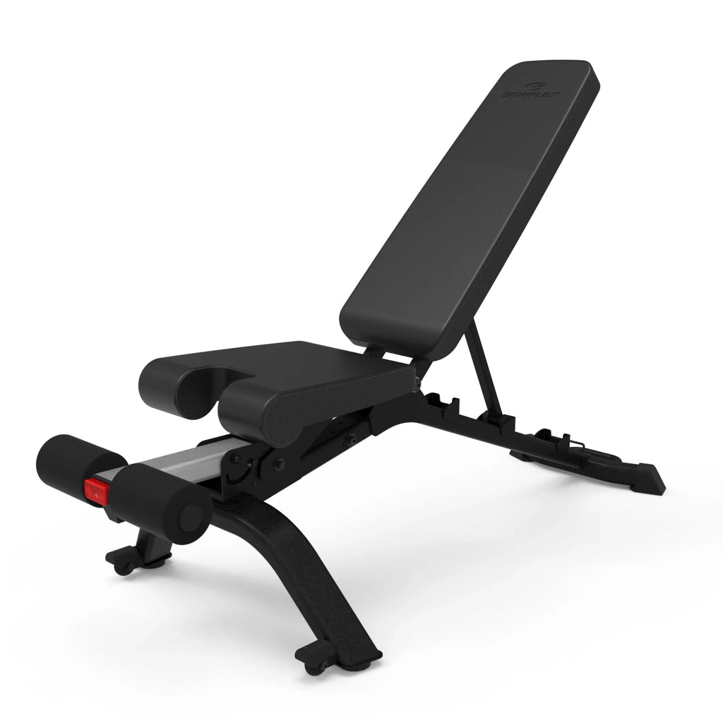 (Litho) Bowflex 3.1s Bench Weight