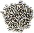 of Stainless Track/Cross 3/8 Spikes 100) Steel inch (Bag (9mm) Country