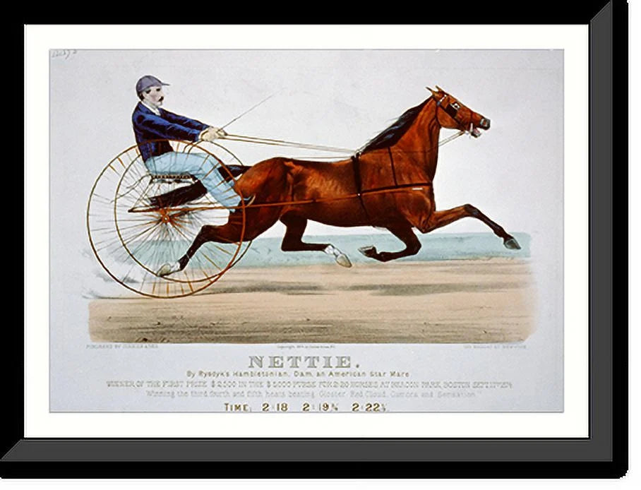 Rysdyk's star Framed American dam, mare, by x Historic and Nettie: Hambletonian, Print, 21-7/8" 17-7/8"