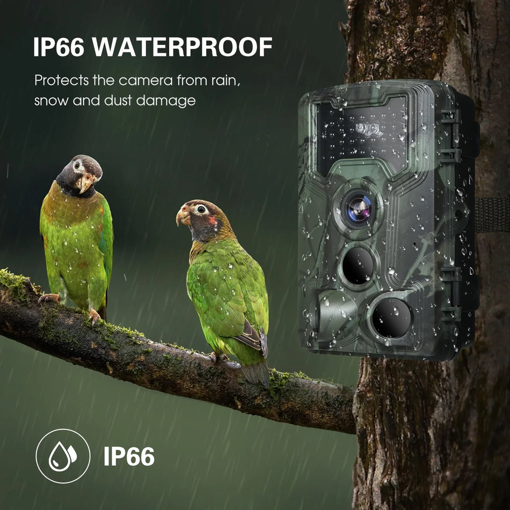 Camera, Game Researching Camera Waterproof Night Vision 36MP and Trail for Wildlife